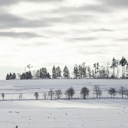 Hasselhaeuser Hasselhaus 4 *