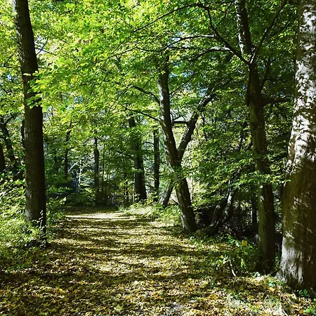 Hasselhaeuser Hasselhaus 4 *