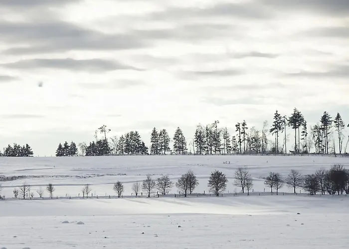 Hasselhaeuser Hasselhaus 4 *