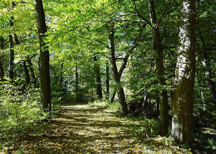 Hasselhaeuser Hasselhaus 4 *