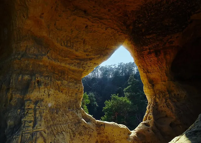 度假居 Hasselhaeuser Hasselhaus 4